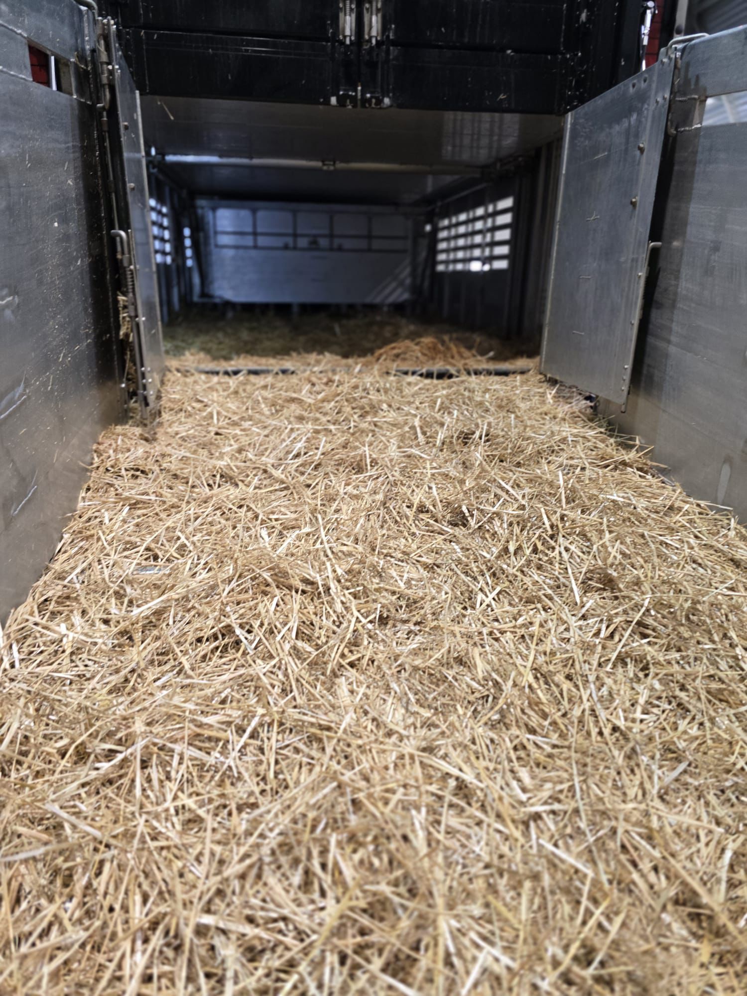 Servicio profesional de transporte de coches