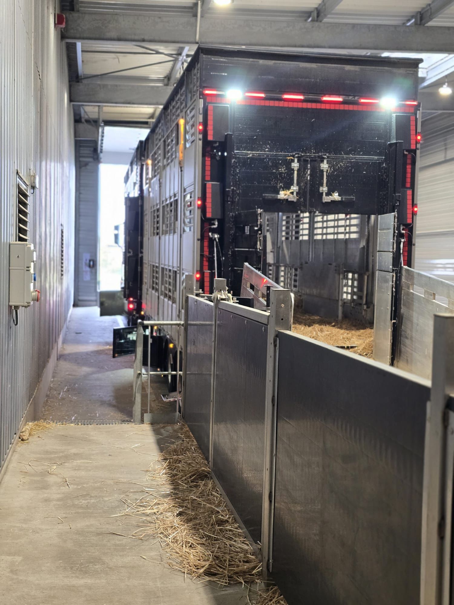 Transporte de coches de alta gama