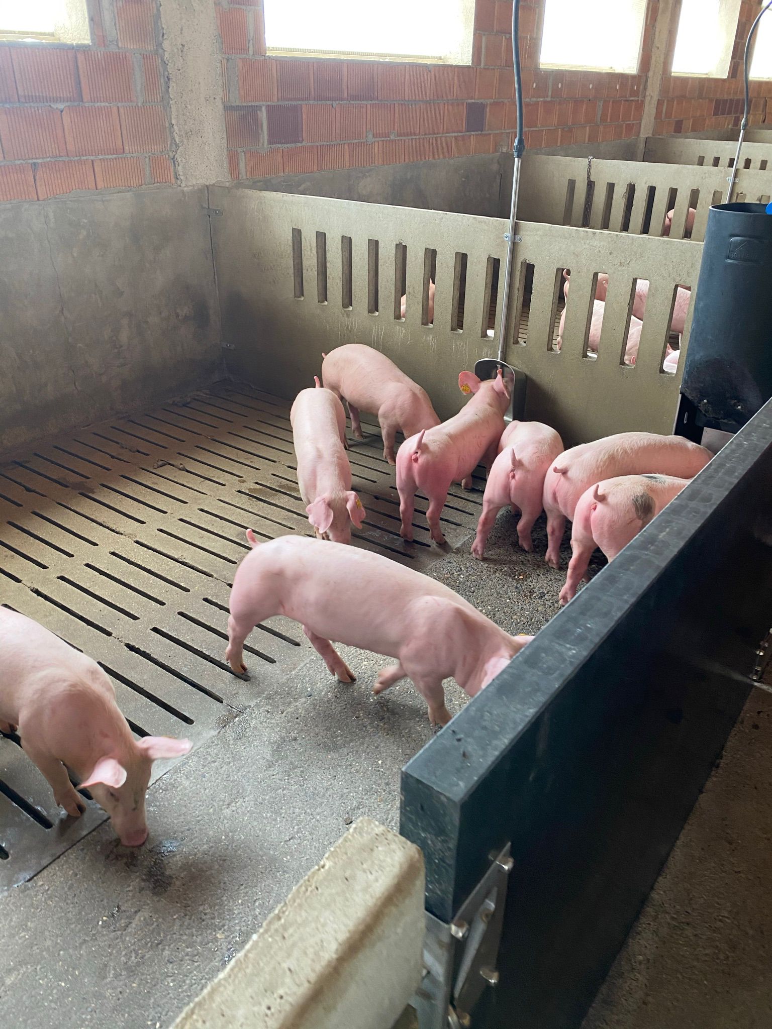 Equipo profesional de transporte